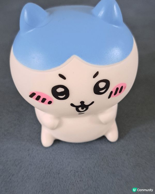 我仔最喜歡小八，有公仔，燈飾，吊飾，連畢業公仔和斜孭袋也是小...