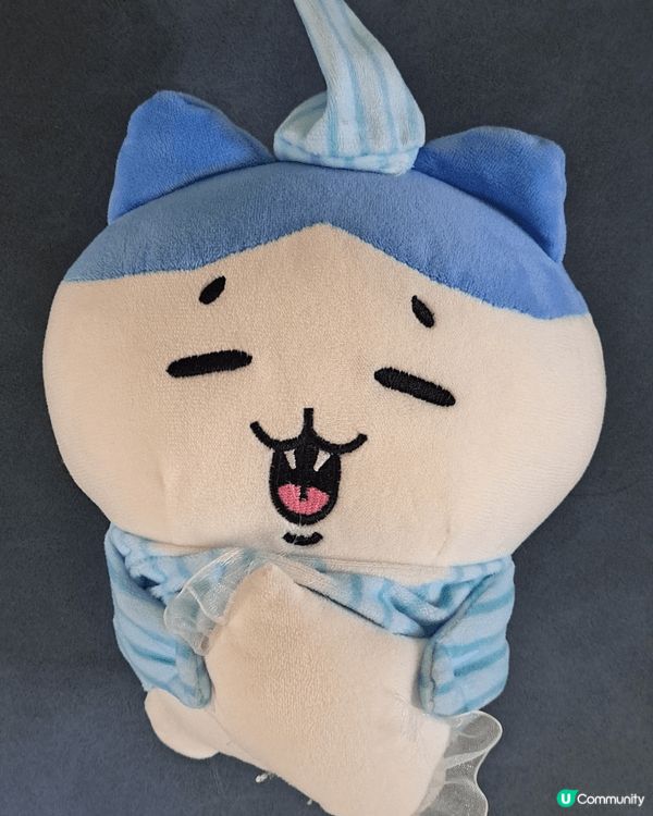 我仔最喜歡小八，有公仔，燈飾，吊飾，連畢業公仔和斜孭袋也是小...