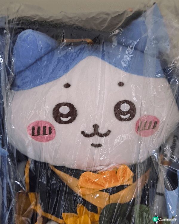 我仔最喜歡小八，有公仔，燈飾，吊飾，連畢業公仔和斜孭袋也是小...