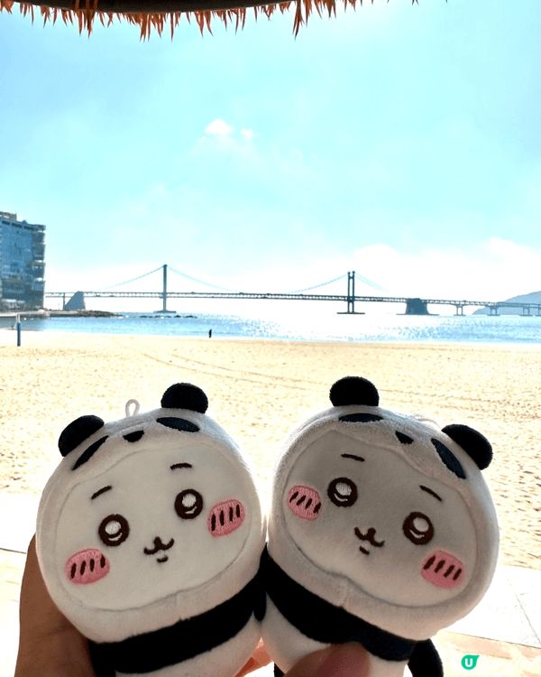 帶著chii仔去旅行chill一chill，開心之餘！又拍到...