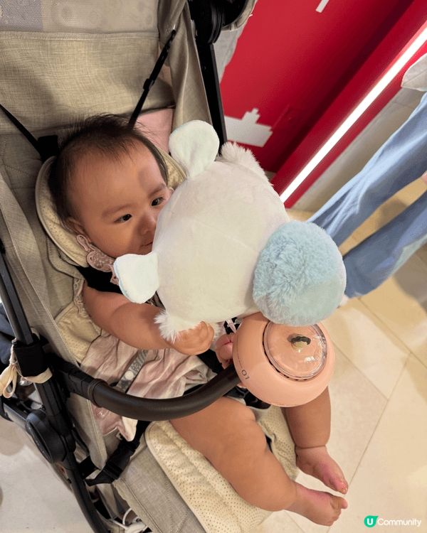 由出世到而家一歲，都好鐘意chiikawa, 尤其是鍾意小八...