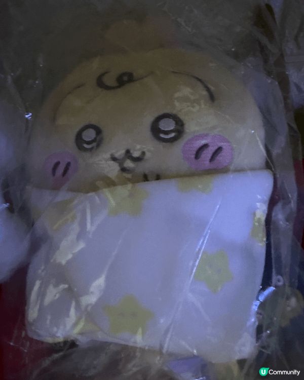 BB系列已入手😂