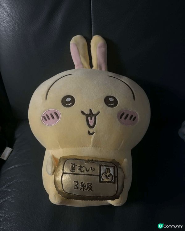 小八貓和兔哥是我最愛的兩隻公仔。小八貓是一隻橘色的貓咪，牠的...