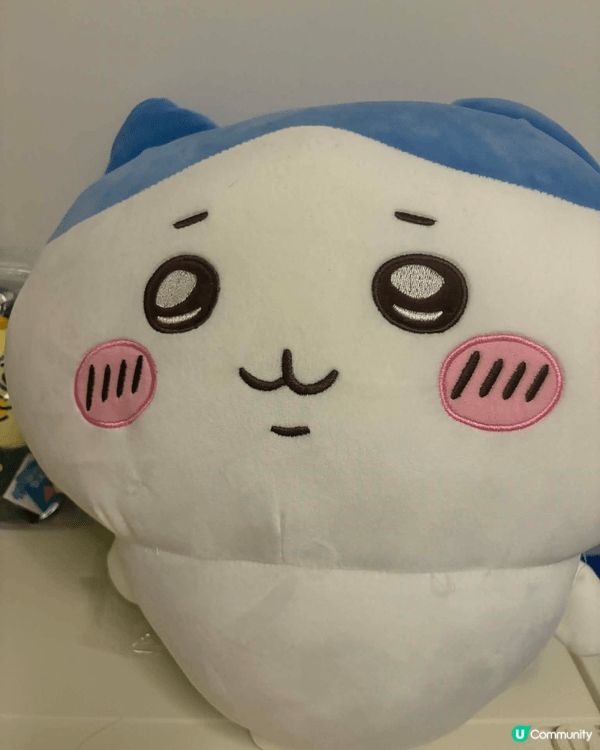 小八貓和兔哥是我最愛的兩隻公仔。小八貓是一隻橘色的貓咪，牠的...