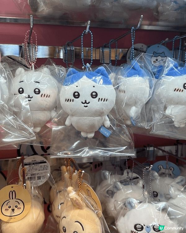 屋企人去開東京，順便問我要唔要Chiikawa。其他掛飾款我...