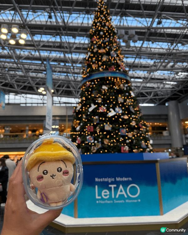 今次帶咗秋日兔哥一齊去札幌東京之旅！玩夾公仔仲夾到秋日小八一...