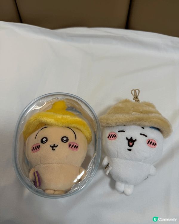 今次帶咗秋日兔哥一齊去札幌東京之旅！玩夾公仔仲夾到秋日小八一...