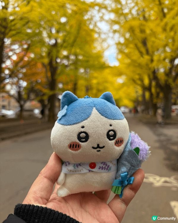 帶住小八和兔哥，就遊遍北海道🥰