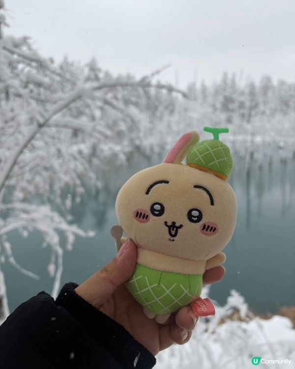 帶住小八和兔哥，就遊遍北海道🥰