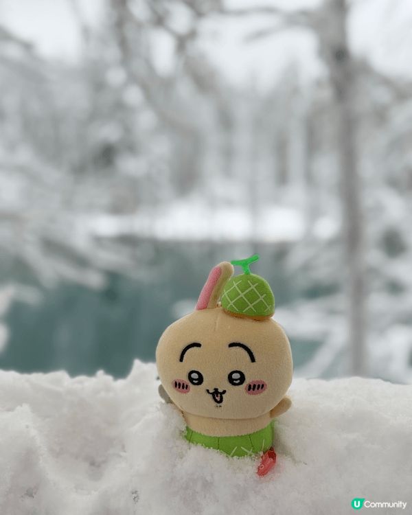 帶住小八和兔哥，就遊遍北海道🥰