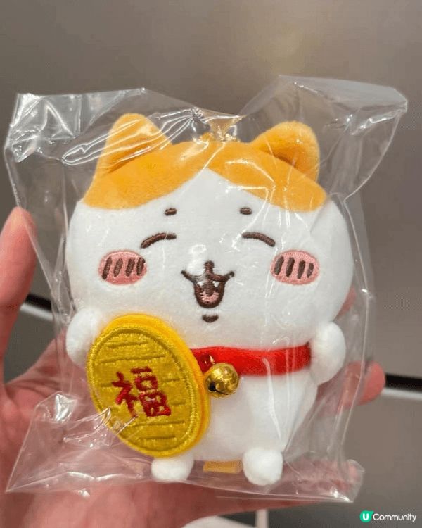 我兩個孫就最鍾意Chiikawa，我時時周圍去，見到有得意嘅...