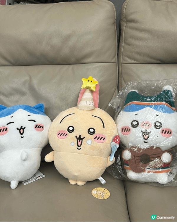 我兩個孫就最鍾意Chiikawa，我時時周圍去，見到有得意嘅...