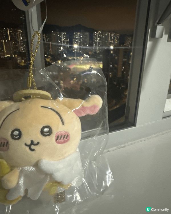 不同風格的Usagi，努力讓不同魅力的Usagi有一天能成為...