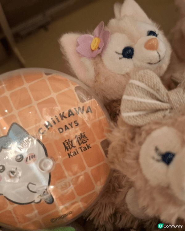 Chiikawa和小八和Usagi很可愛又得意。和廸士尼朋友...