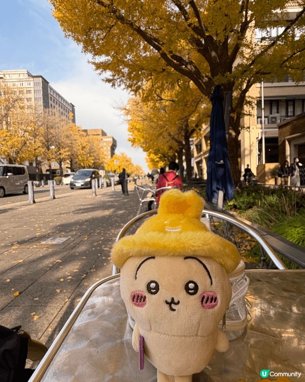我最Chiikawa 最喜愛的角色就是usagi ，今年我帶...