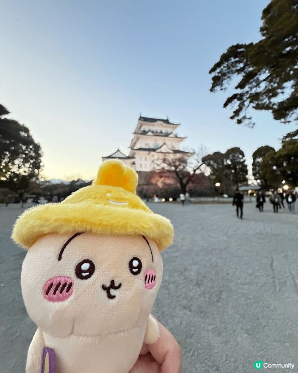 我最Chiikawa 最喜愛的角色就是usagi ，今年我帶...