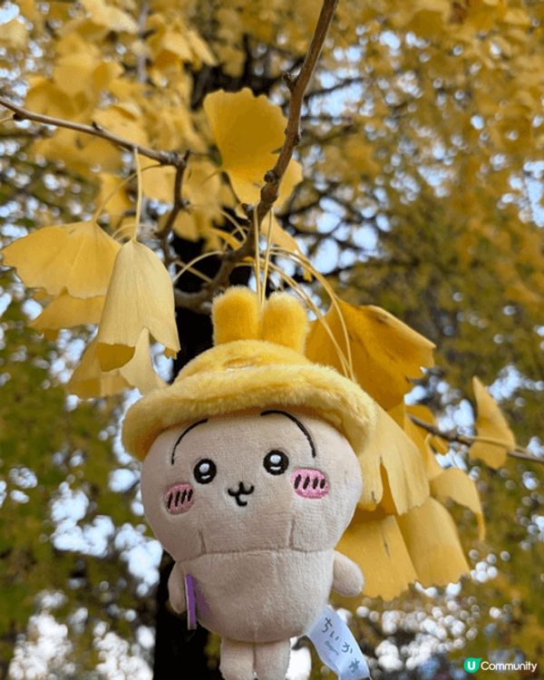 我最Chiikawa 最喜愛的角色就是usagi ，今年我帶...