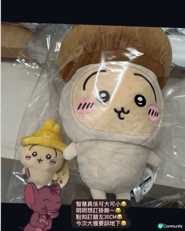 圖一：記得佢地係我入坑既開始，漸漸變成兔兔既忠實小粉絲