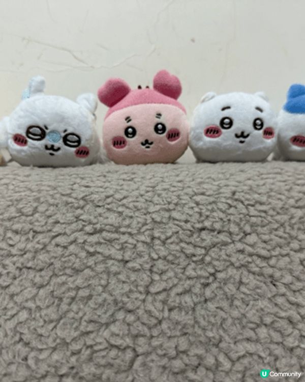 Yeah! 又有獎抽啦！見到就開心，好鍾意佢地呀尤其係兔兔👻...