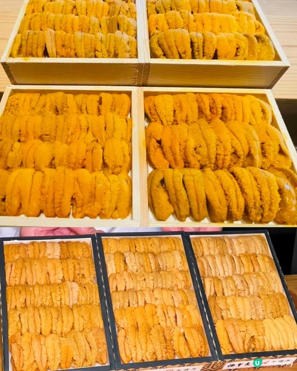 神秘日料店！ 深圳地鐵饗宴等你來！