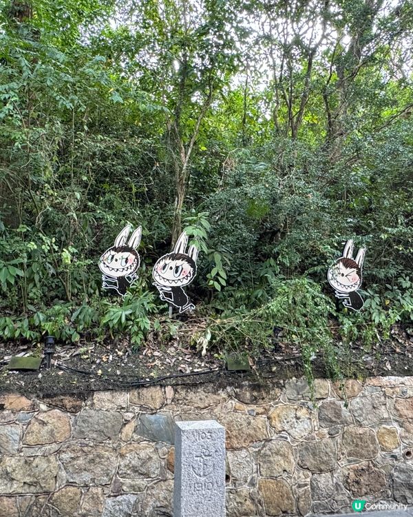 Labubu 「此刻與未來」