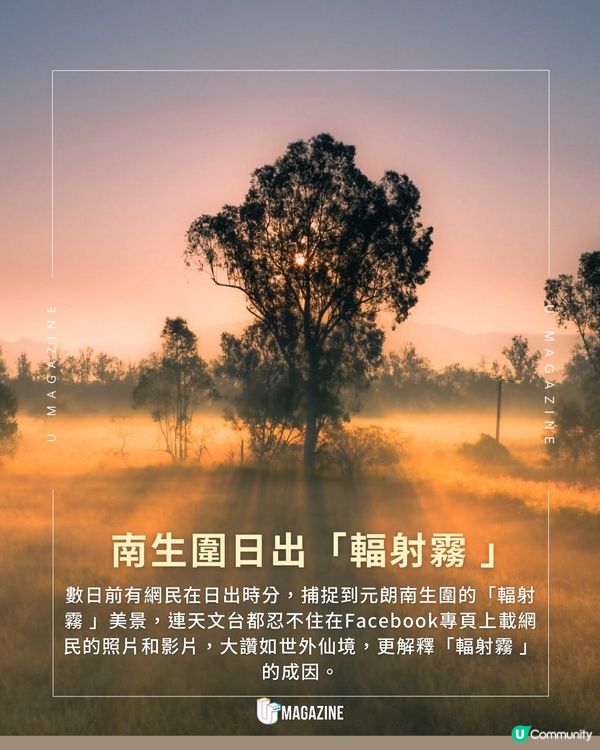 南生圍日出驚現「輻射雲」 天文台大讚：如仙境