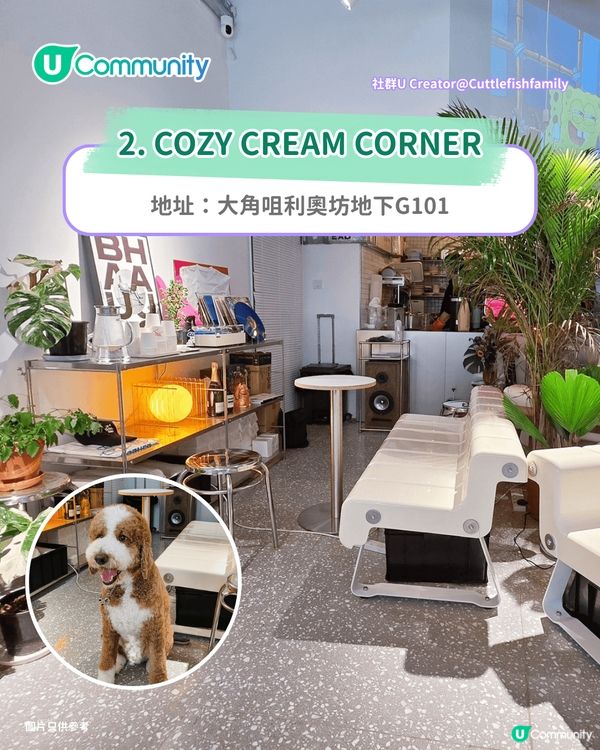 【香港cafe 2026】全港7大韓系cafe推介☕🇰🇷 免費人生4格/寵物友善/打卡海景