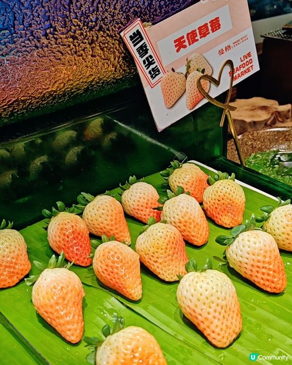 升級海鮮放題！帝皇式享受，專人幫你剝蝦剝蟹