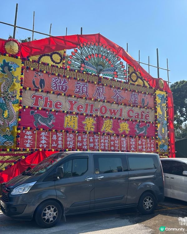 貓頭鷹🦉茶座😆推