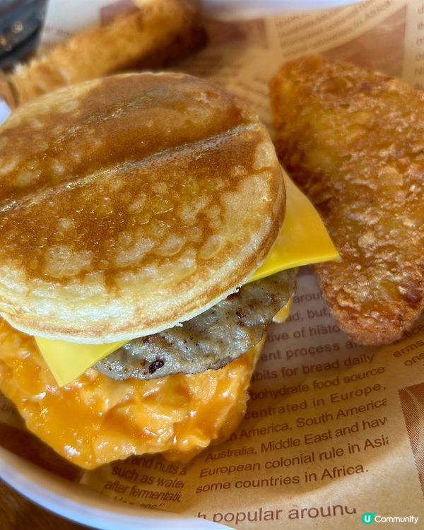 貓頭鷹🦉茶座😆推