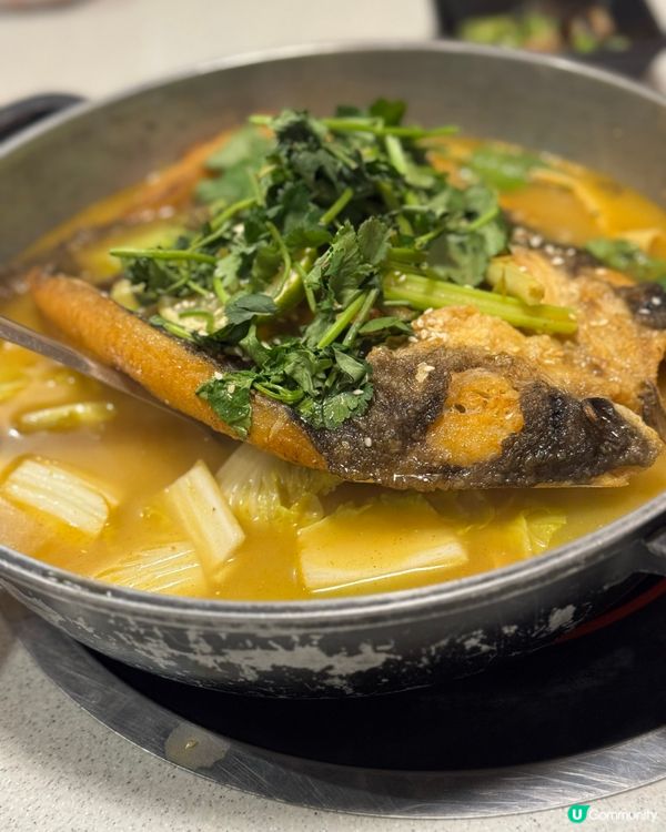 人均$300食曬雞煲 烤魚 羊腩煲 bino