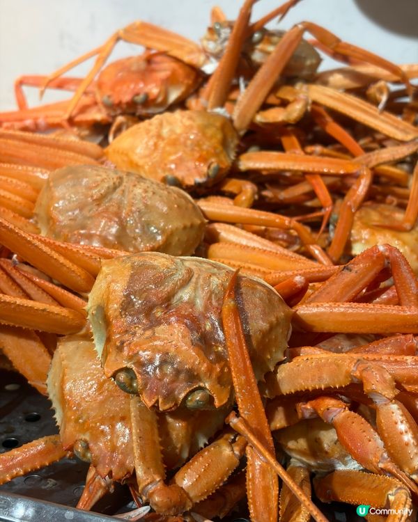 韓式放題！食到停唔到口！🤤