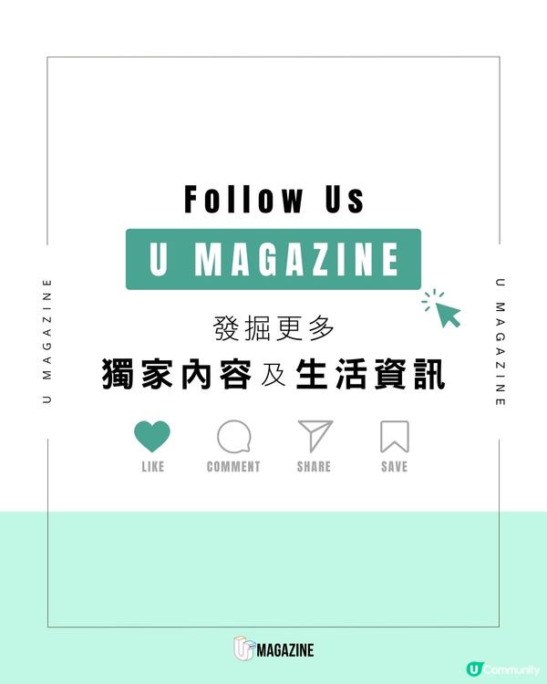 每日工作五小時 希臘流浪貓慈善組織招募貓義工