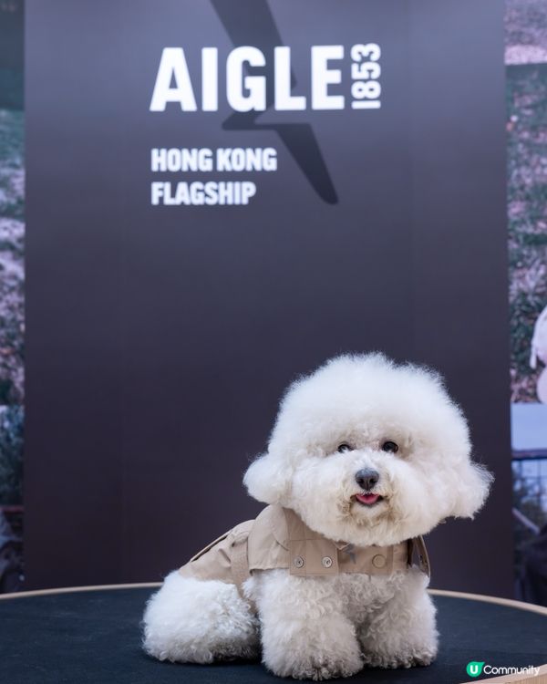 AIGLE的寵物衣服也太酷了吧