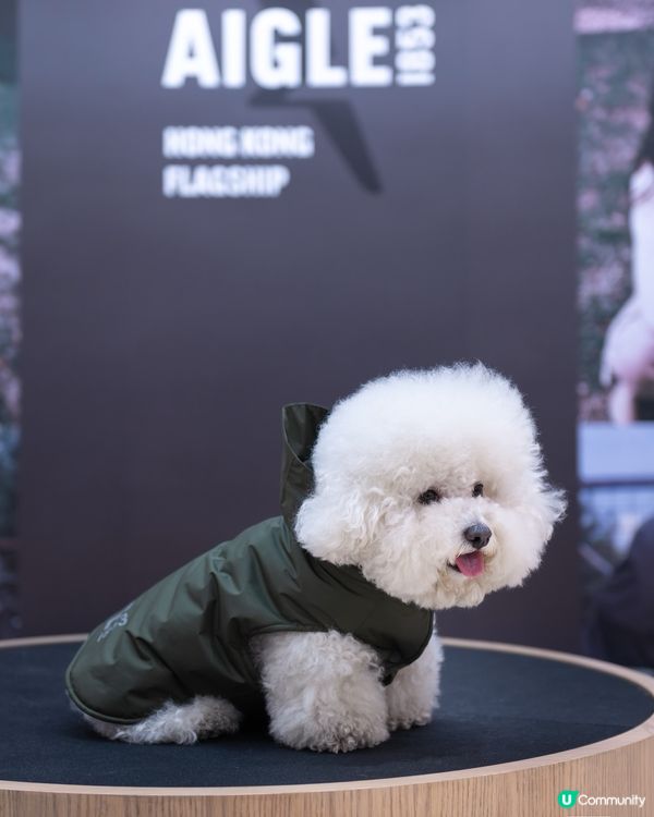 AIGLE的寵物衣服也太酷了吧