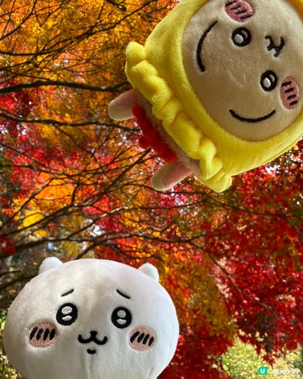 Chiikawa與勝尾寺