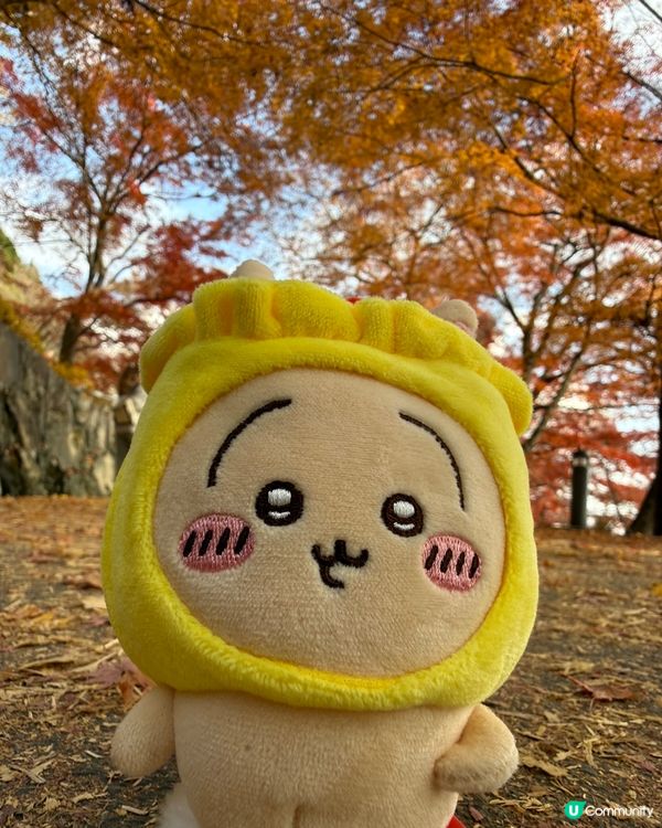 Chiikawa與勝尾寺