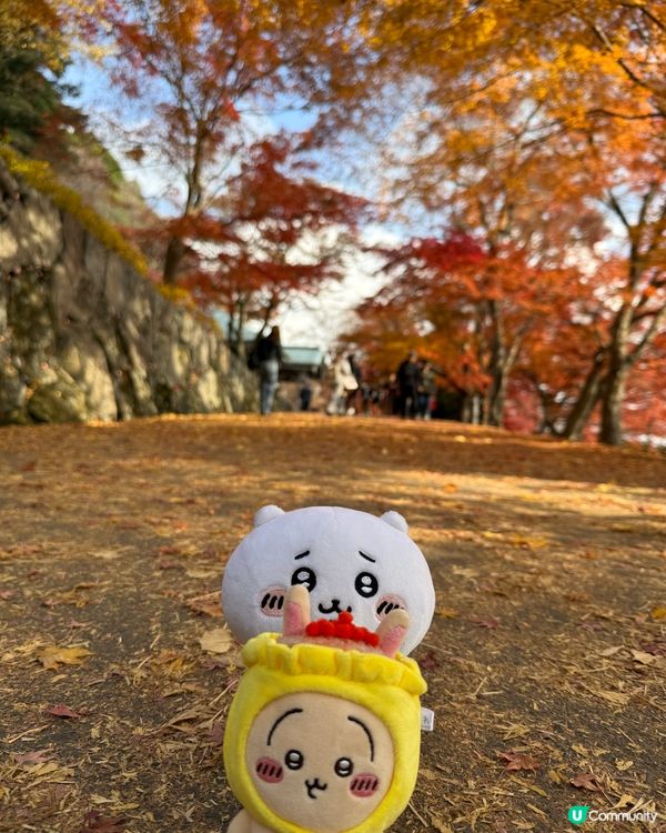 Chiikawa與勝尾寺