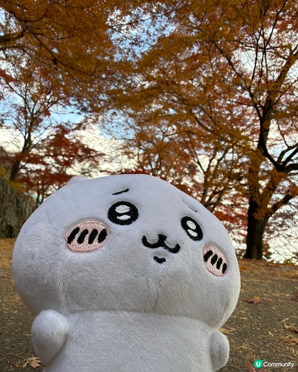 Chiikawa與勝尾寺