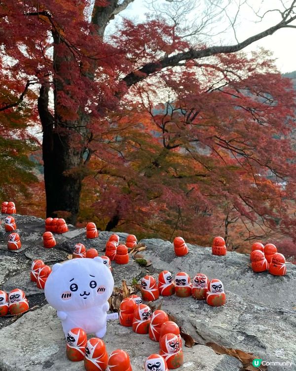 Chiikawa與勝尾寺