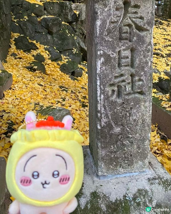 Chiikawa與勝尾寺