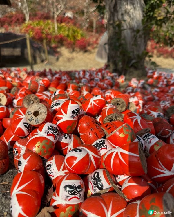 Chiikawa與勝尾寺