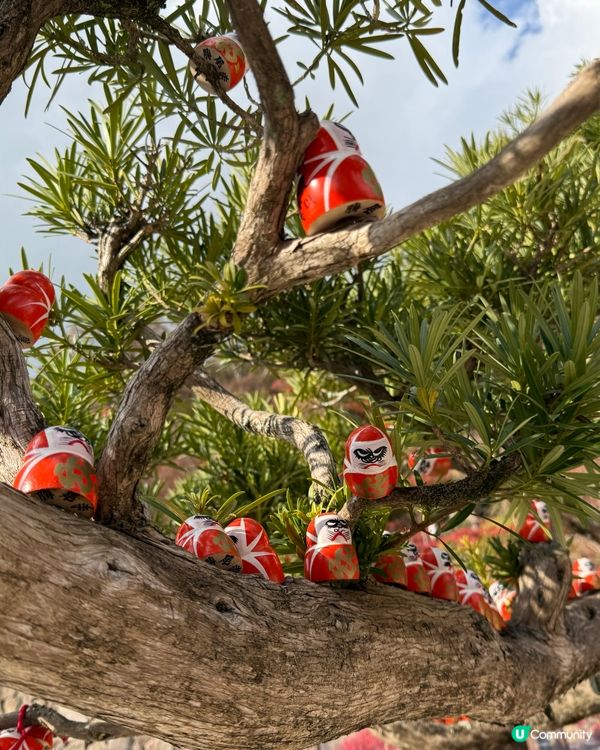 Chiikawa與勝尾寺