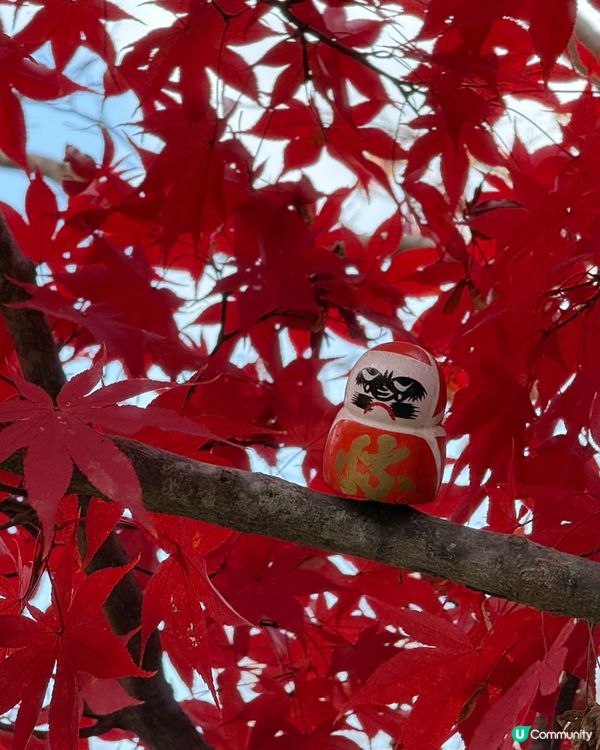 Chiikawa與勝尾寺