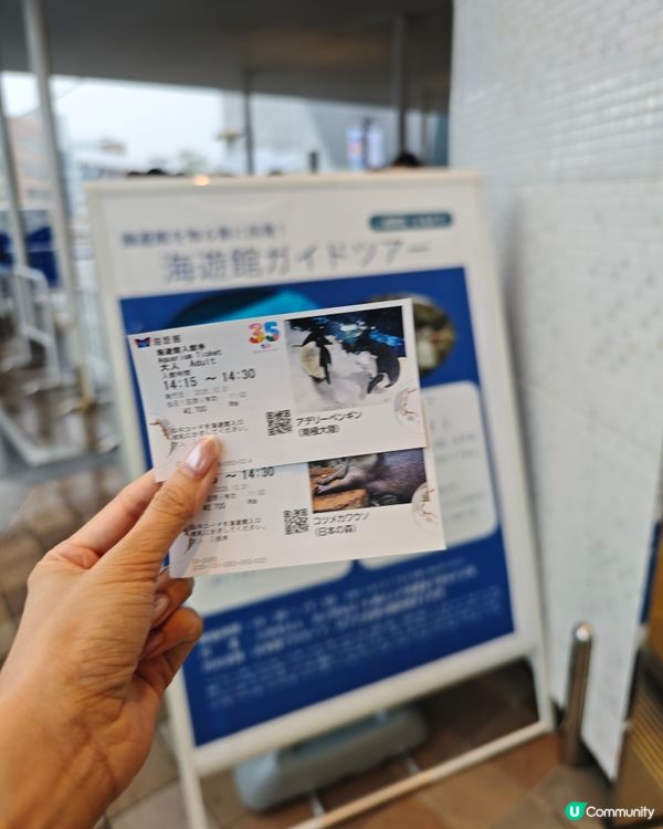 大阪海遊館🌊震撼水族館體驗！🐠