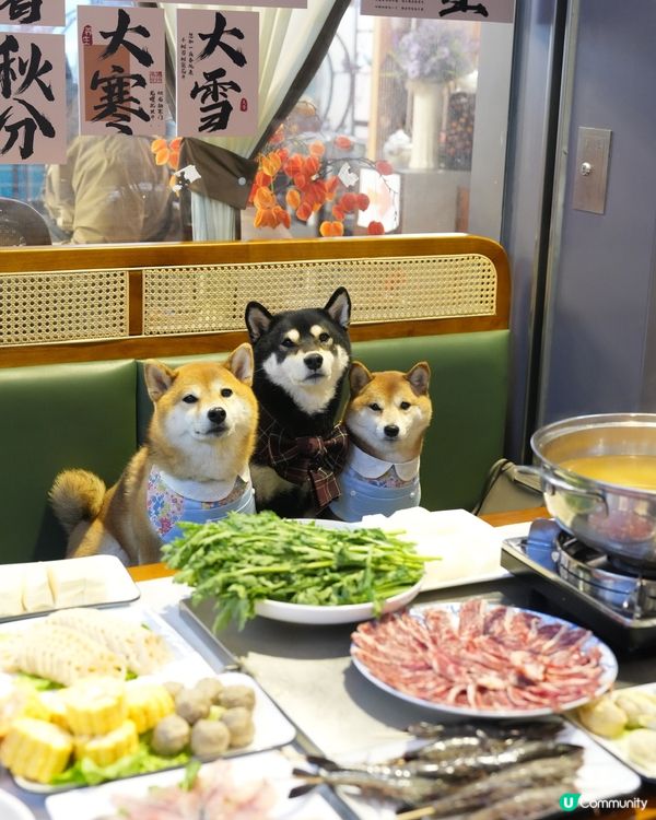 啟德平民價打邊爐🍲