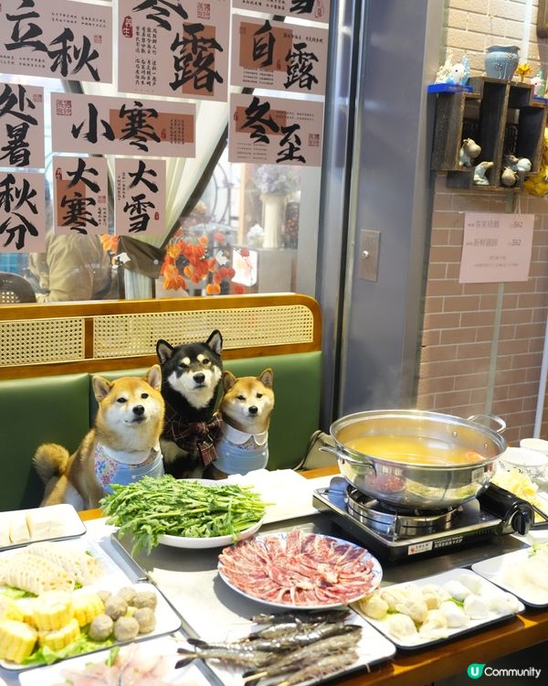 啟德平民價打邊爐🍲