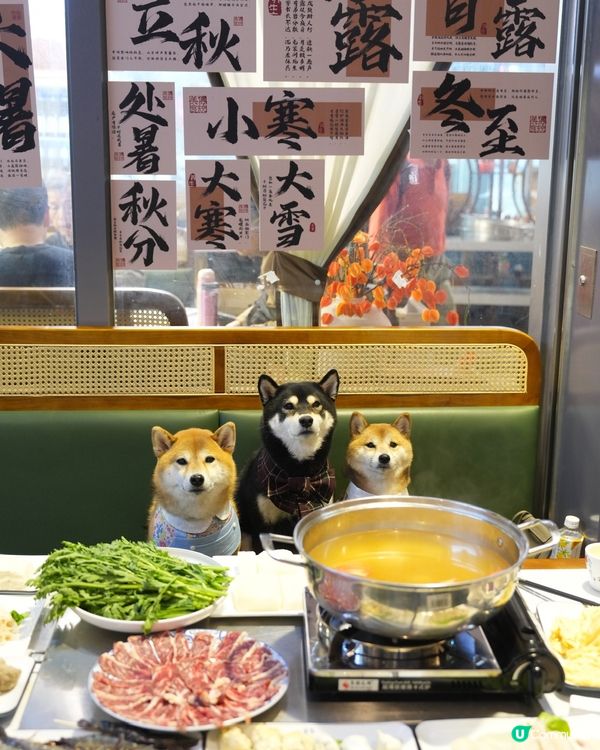 啟德平民價打邊爐🍲