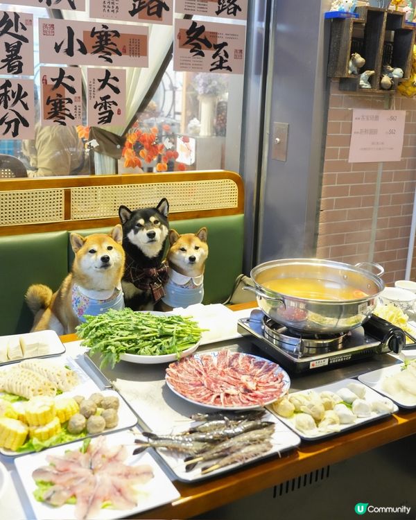 港式平價邊爐～寵物友善餐廳💕