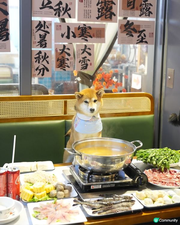 港式平價邊爐～寵物友善餐廳💕